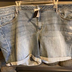 NWT Lane Bryant Jean Shorts
